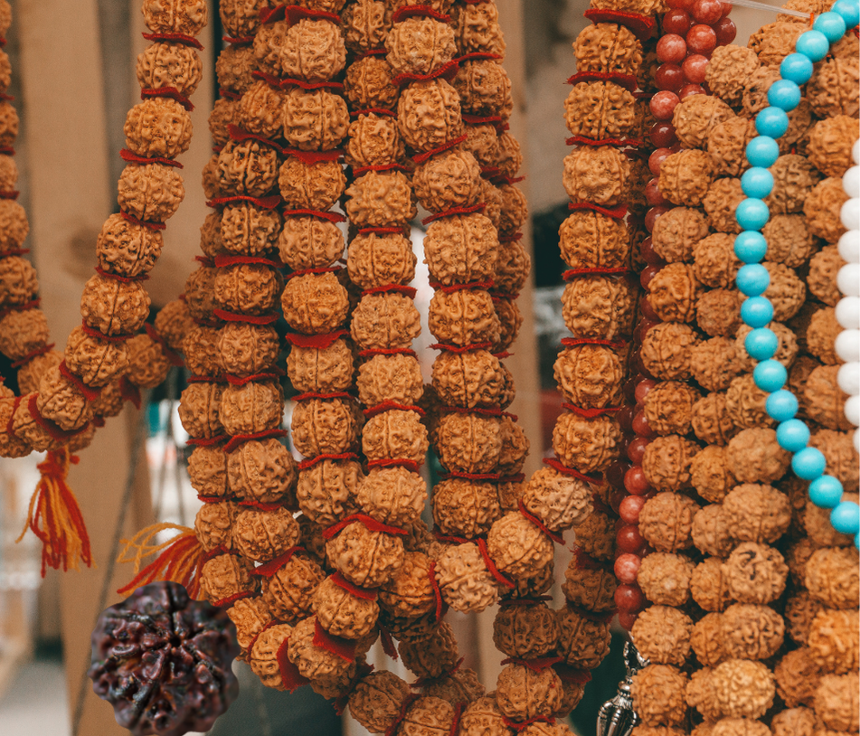 Rudraksha Header Image