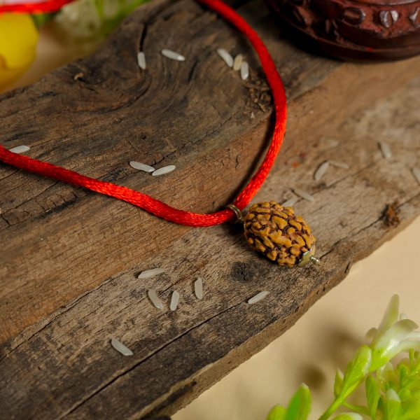 3 Mukhi Rudraksha Pendant Locket – Original & Lab Certified
